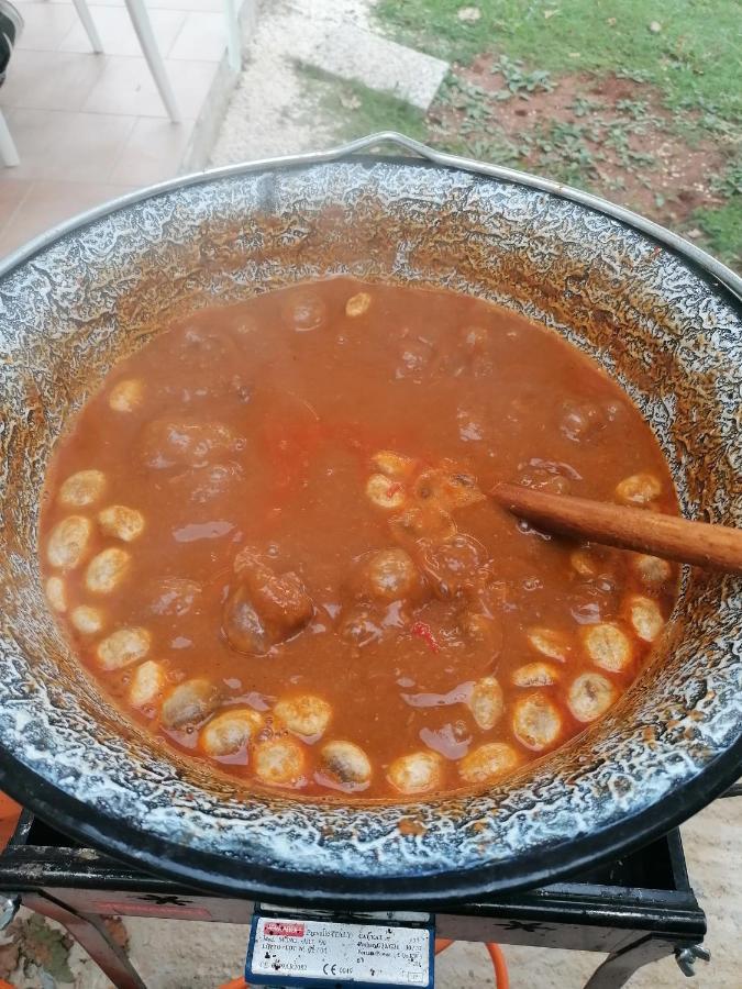 MarčanaTiny House Dora别墅 外观 照片