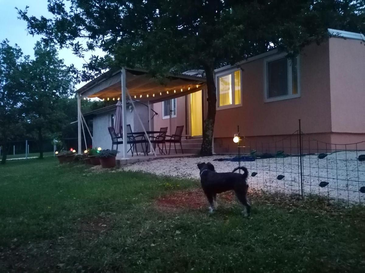 MarčanaTiny House Dora别墅 外观 照片